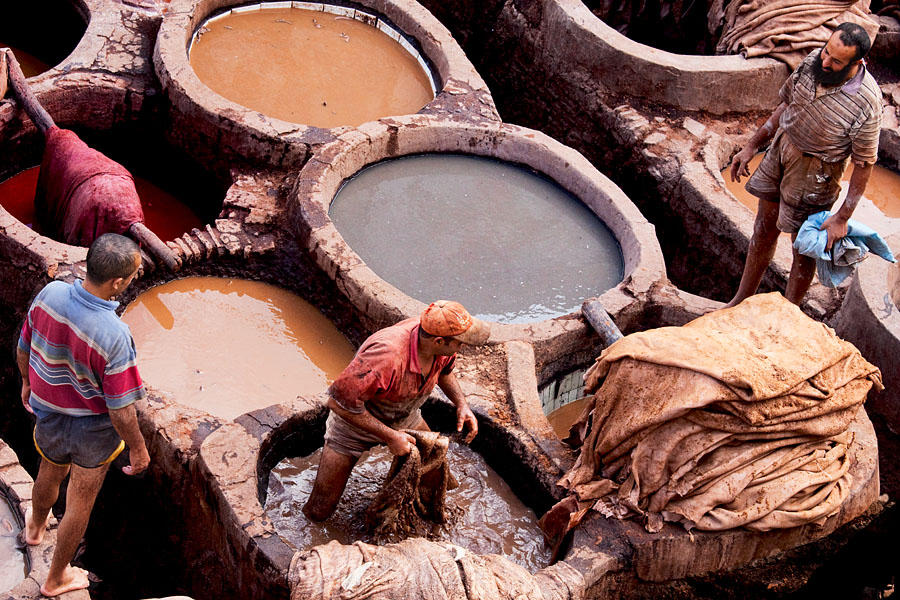  The tanneries of Fez   Morocco